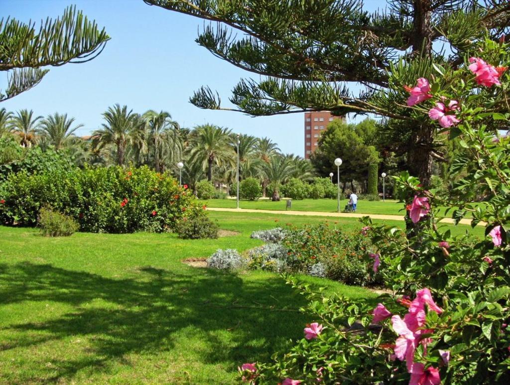 27-3- Комната С Балконом В Квартире Аликанте Для 5 Человек Alicante Esterno foto